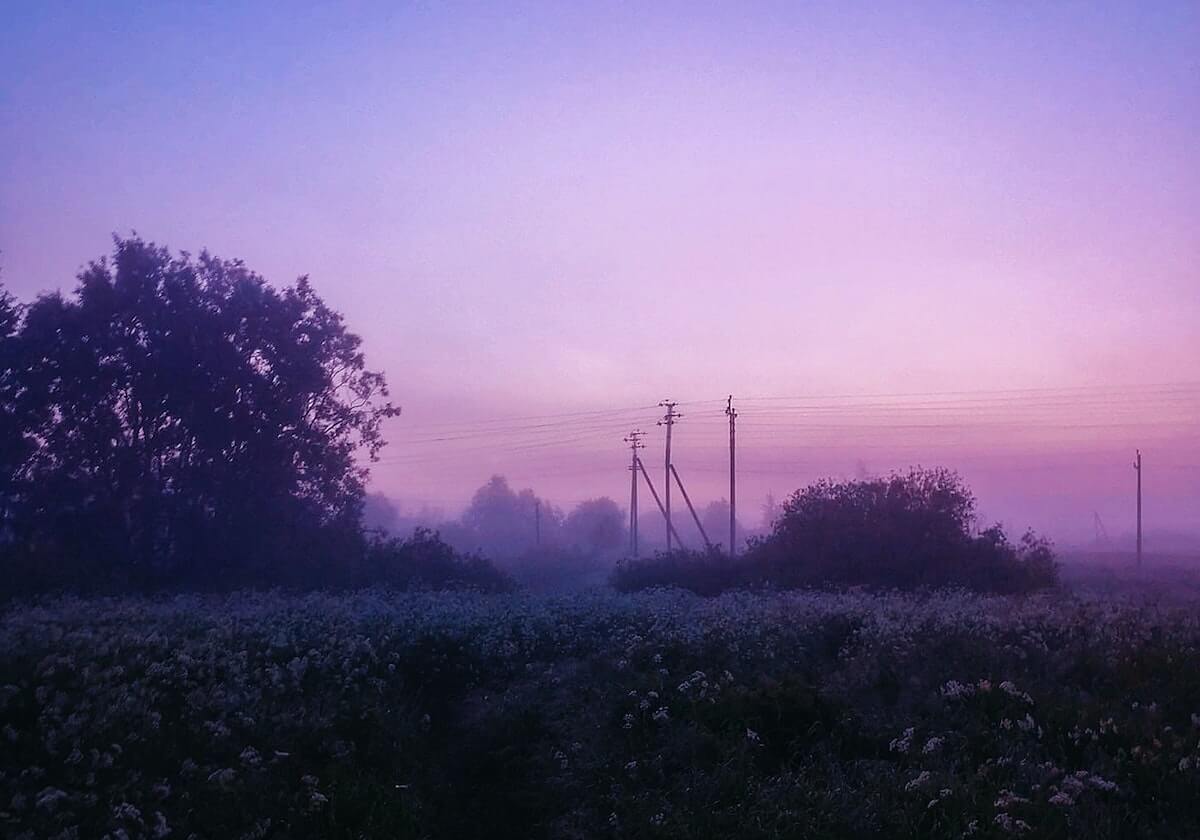 王心迪：接受不完美 然后用四年时间一点点填上